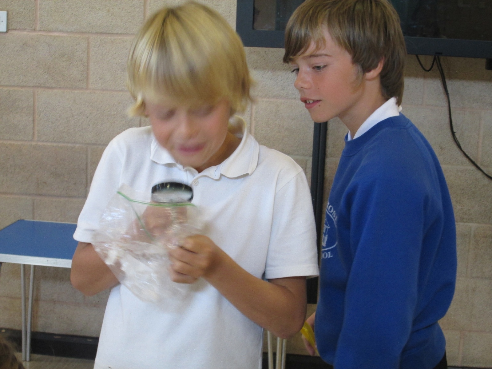 Alexander Hosea Primary School - Forensic Science Day 28.9.15